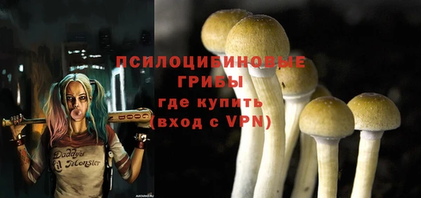 молекула духа Михайловка