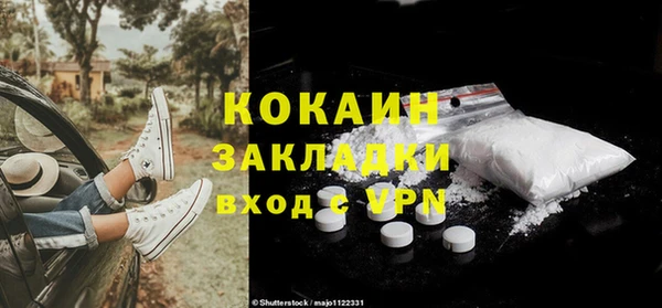 молекула духа Мегион