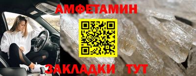 амф Гусев