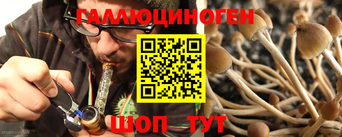 Лянтор  Псилоцибиновые грибы мухоморы  Псилоцибиновые грибы прущие грибы  Вход с VPN 