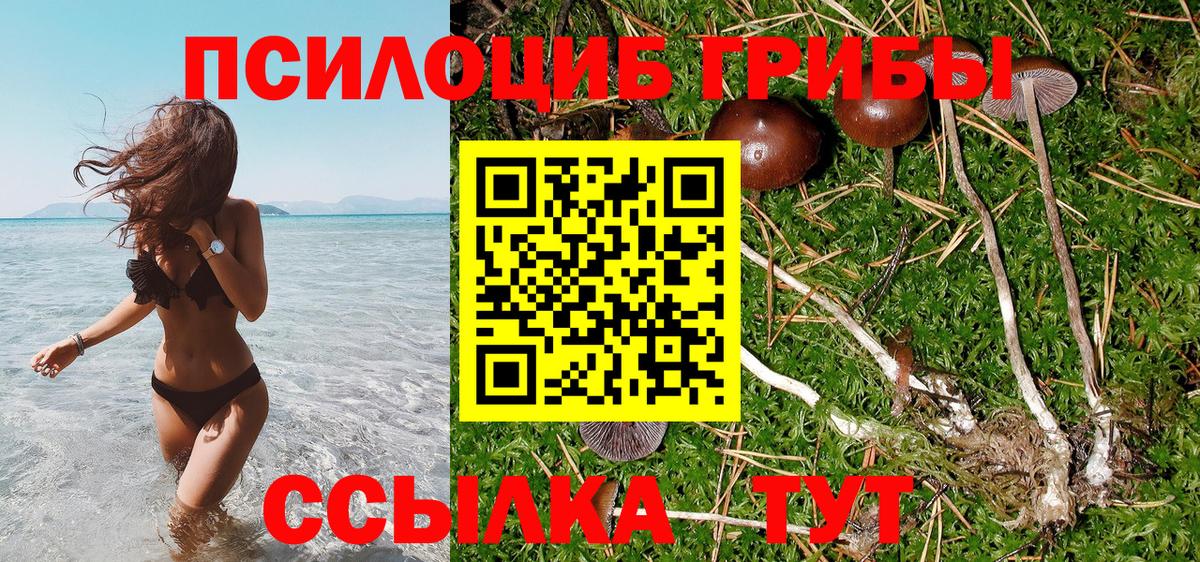 Галлюциногенные грибы Psilocybine cubensis Лянтор